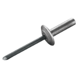 CUP sealed blind rivet large head aluminium - steel with protection layer