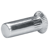 Blind rivet nuts and screws GO-NUT round shank knurled blind rivet nuts countersunk stainless steel A2