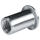 Blind rivet nuts and screws GO-NUT with underhead serration blind rivet nuts flat head A4